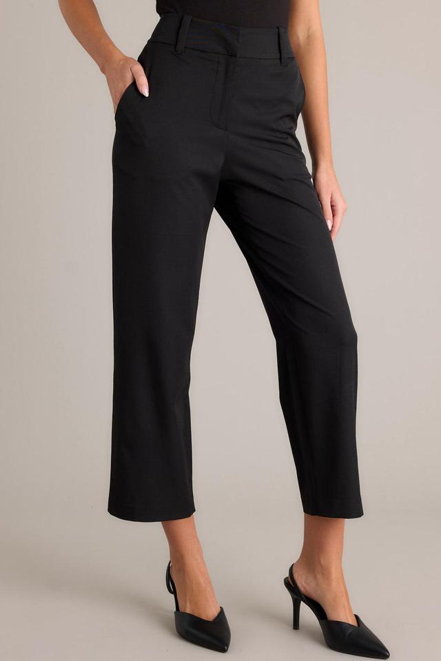 City Chic Black Straight Leg Dress Pants Product Image