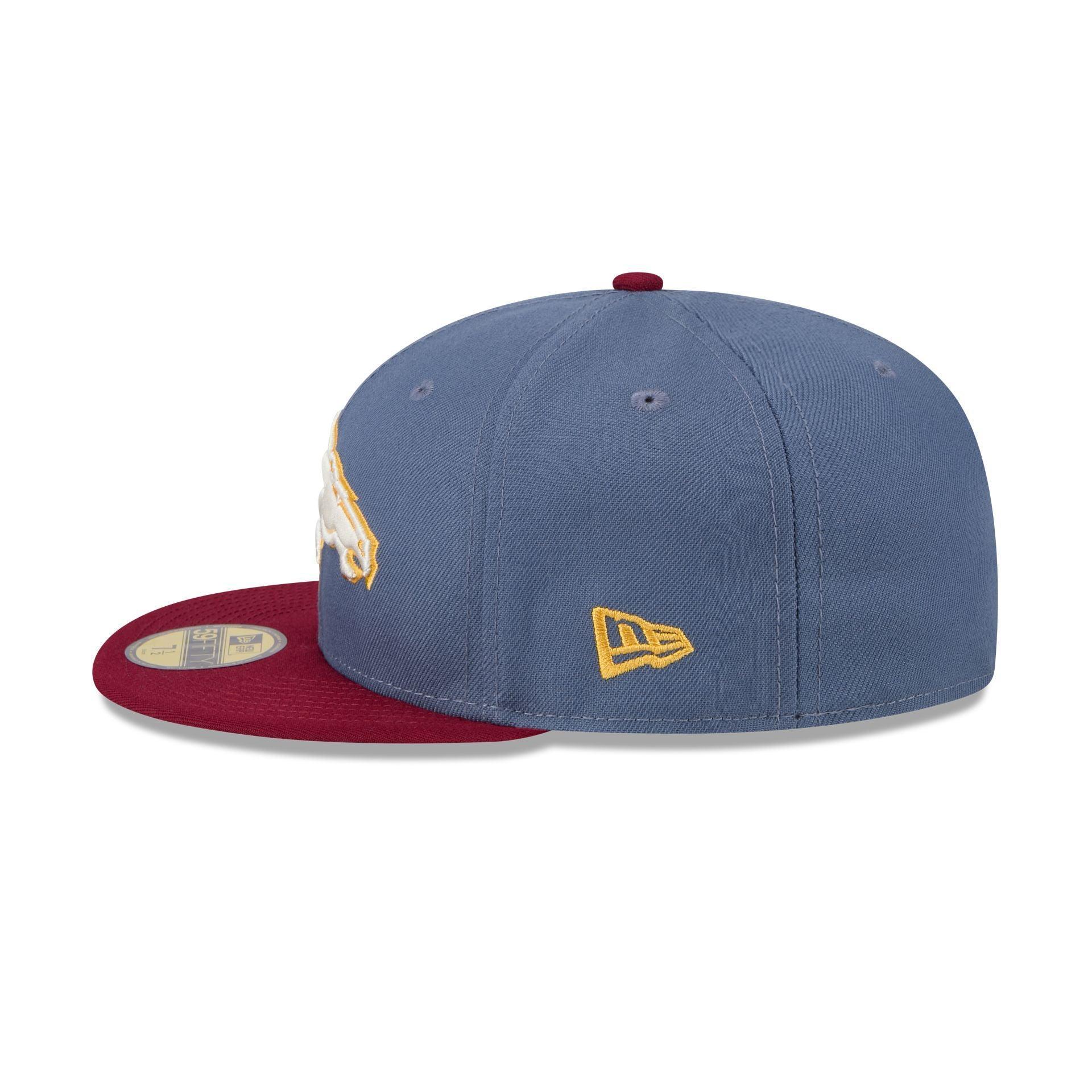 San Francisco 49ers Team Establish 9FIFTY Snapback Hat Male Product Image