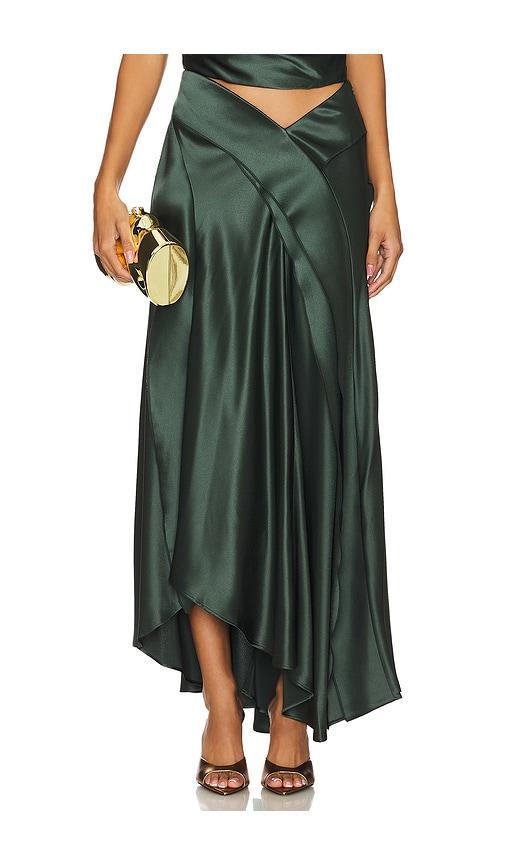 Yewdale Maxi Skirt Product Image