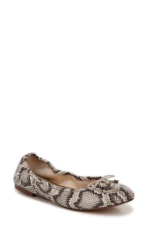 SAM EDELMAN Felicia Ballet Flat Roccia Leather In Grey Product Image