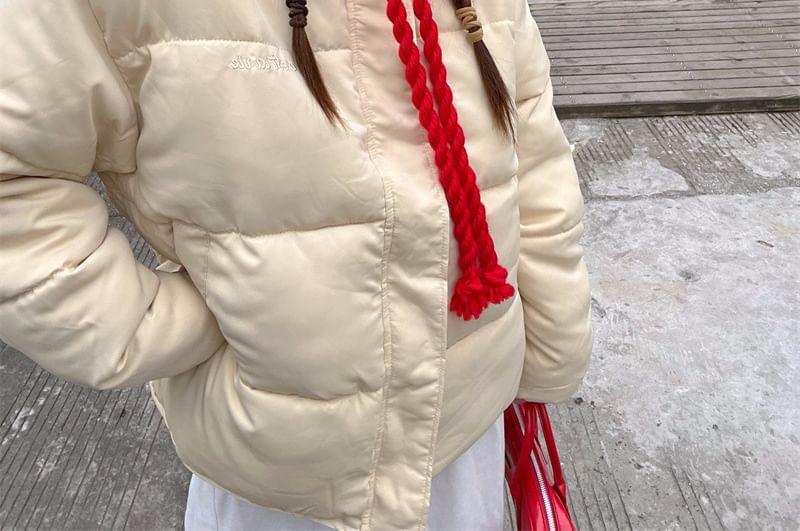 Stand Collar Plain Zip-Up Puffer Jacket Product Image