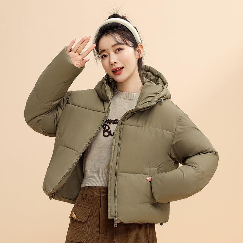 Hooded Zip-Up Puffer Jacket Product Image