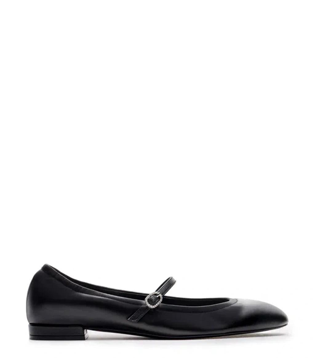 Claris Leather Ballerina Shoes In Black Product Image