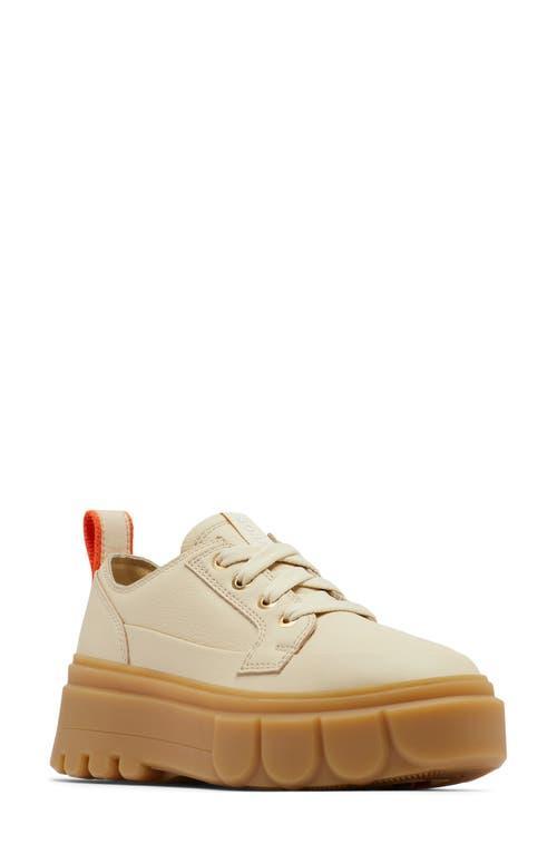 Womens Caribou X Leather Platform Oxfords Product Image