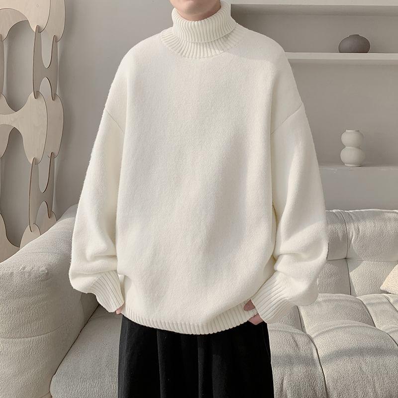 Long-Sleeve Turtleneck Plain Sweater Product Image