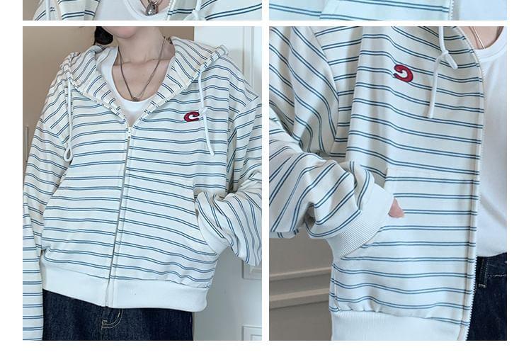 Striped Zip Hoodie Product Image