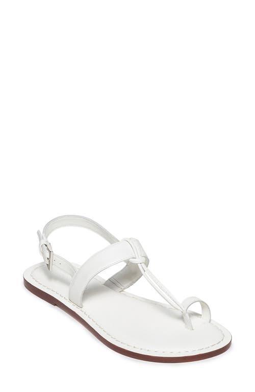 BERNARDO FOOTWEAR Maverick 2 Toe Loop Sandal Product Image