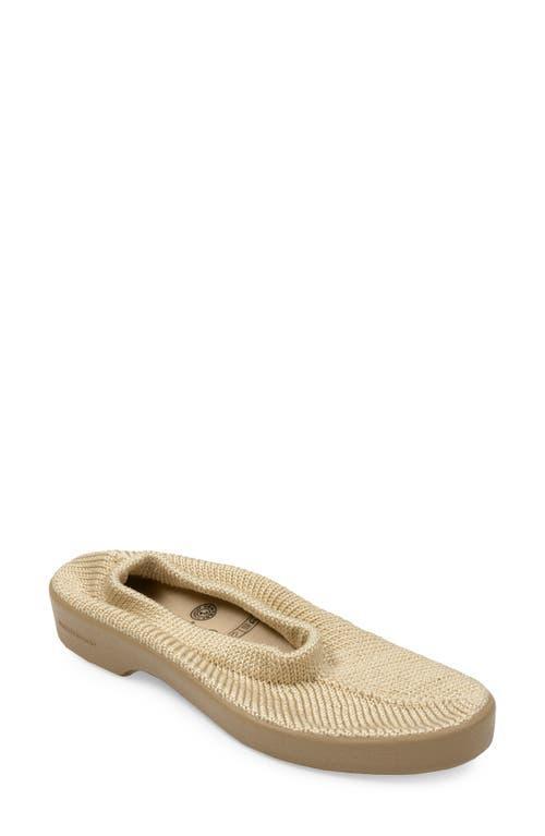 Arcopedico Sec V Women's Shoes Product Image