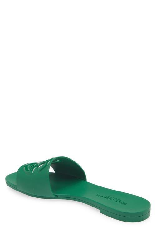 DOLCE & GABBANA Cutout Dg Flat Slide Sandals In Verde Product Image