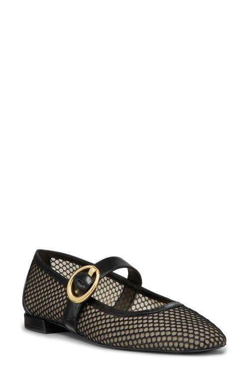 Arabella Mesh Mary Jane Ballerina Flats In Black Product Image