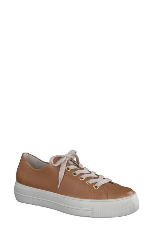 Paul Green Bixby Sneaker Leather) Women's Shoes Product Image