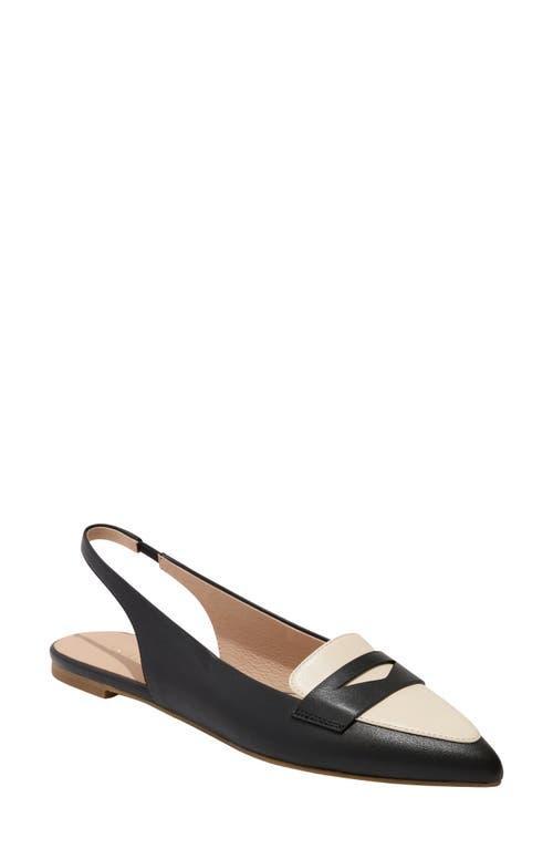 Jack Rogers Pennie Slingback Pointed Toe Flat Product Image