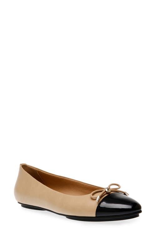 Anne Klein Luci Cap Toe Ballet Flat Product Image