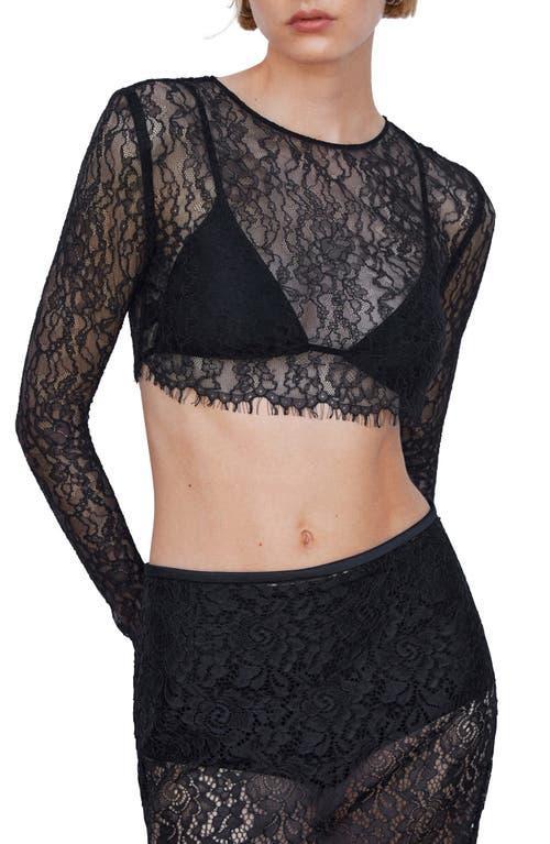 MANGO Sheer Lace Crop Top Product Image