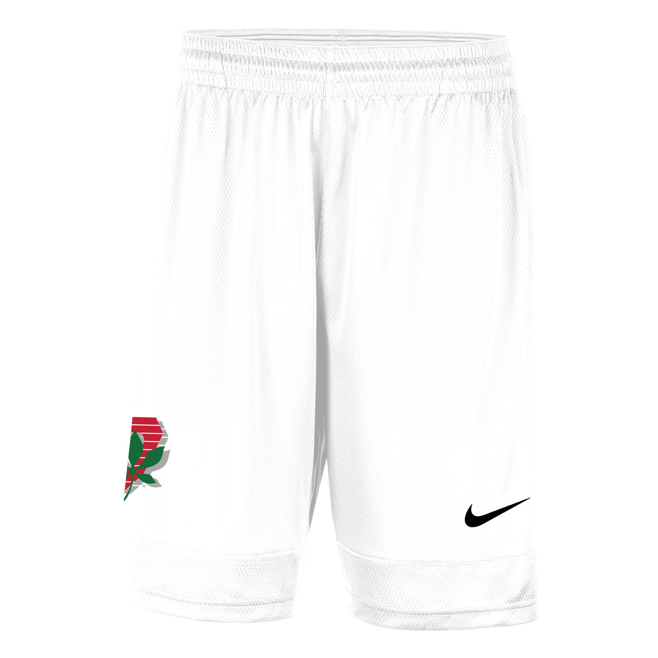 Ohio State Nike Men's College Shorts Product Image