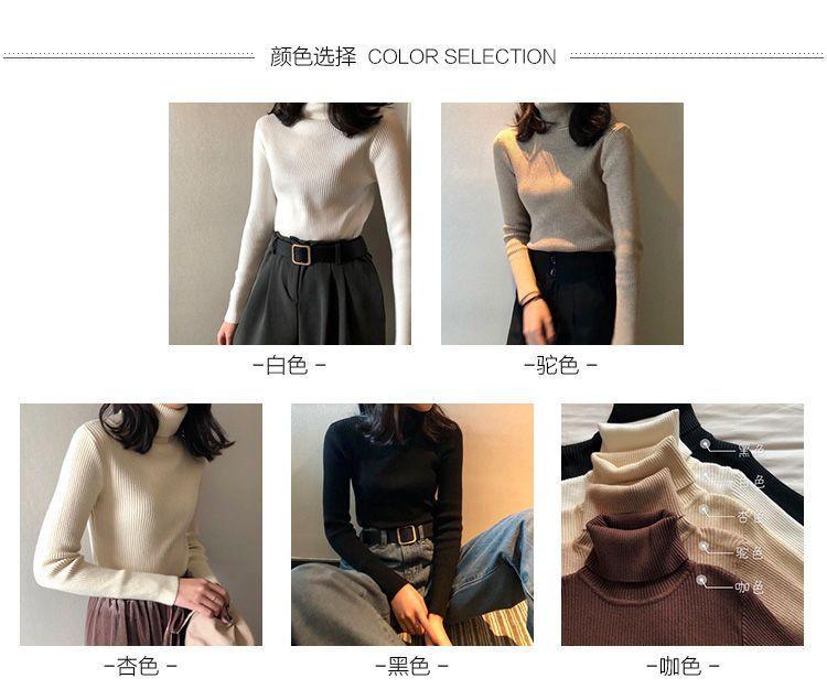 Long-Sleeve Turtleneck Plain Slim Fit Knit Top Product Image