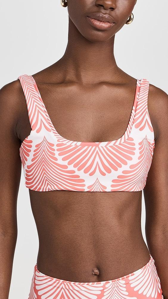 Palmacea Serena Bikini Top | Shopbop Product Image