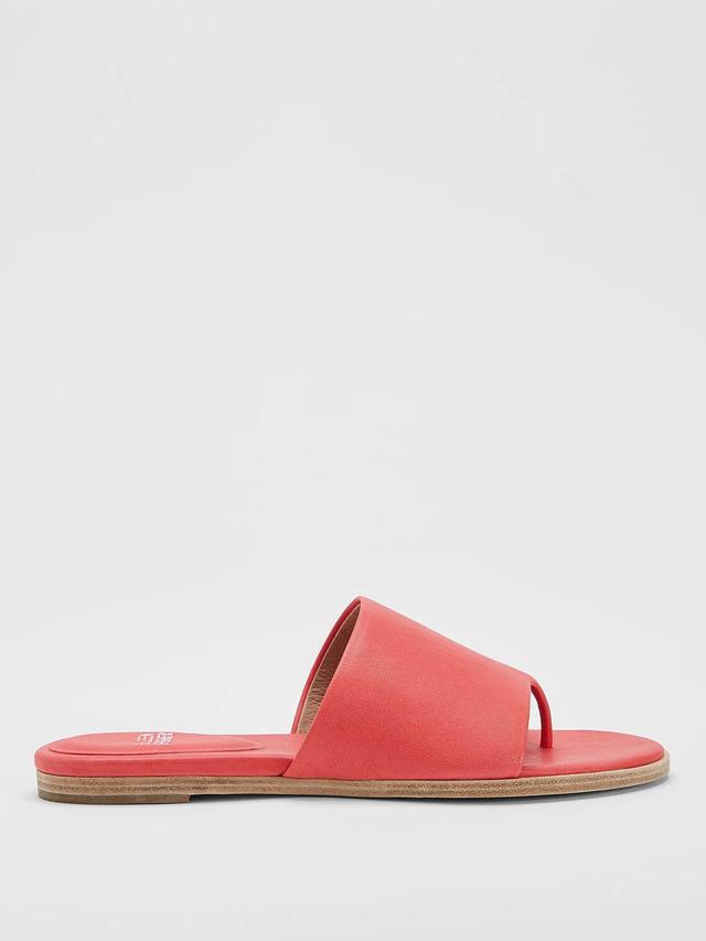 EILEEN FISHER Edge Leather Slide Sandalfemale Product Image