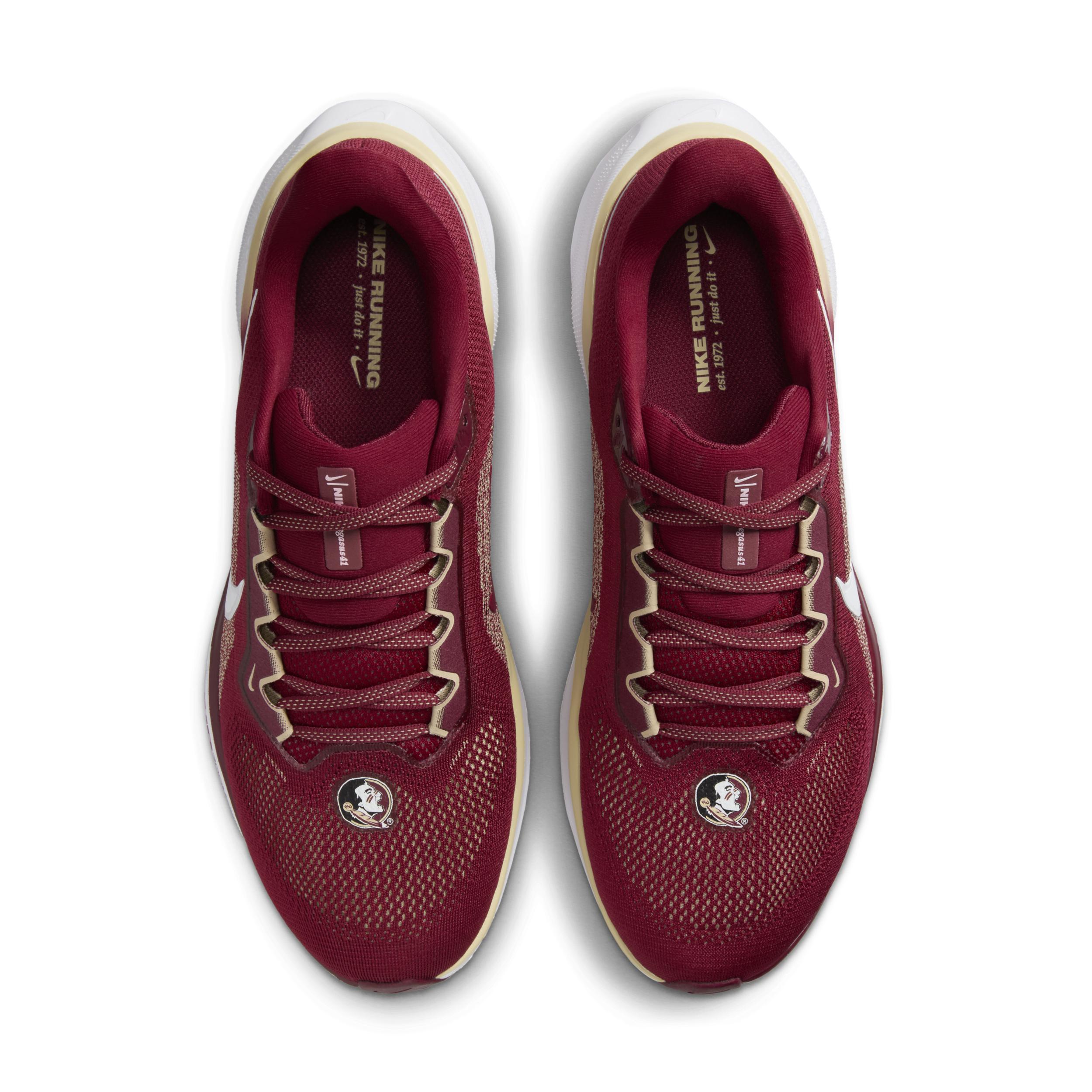 Florida State Pegasus 41 Nike Men's College Road Running Shoes Product Image