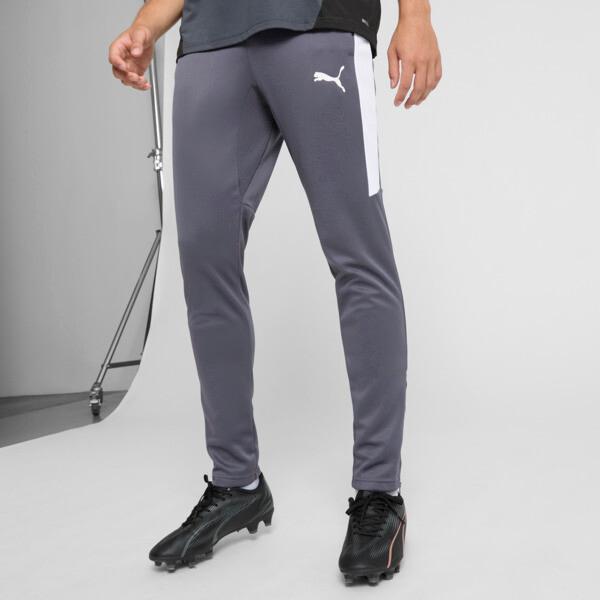 PUMA Speed Men's Pants in Galactic Grey/White Product Image