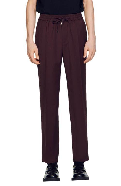 Sandro New Alpha Drawstring Pants Product Image