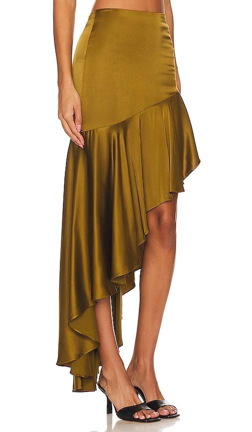 Amrita Maxi Skirt NBD Product Image