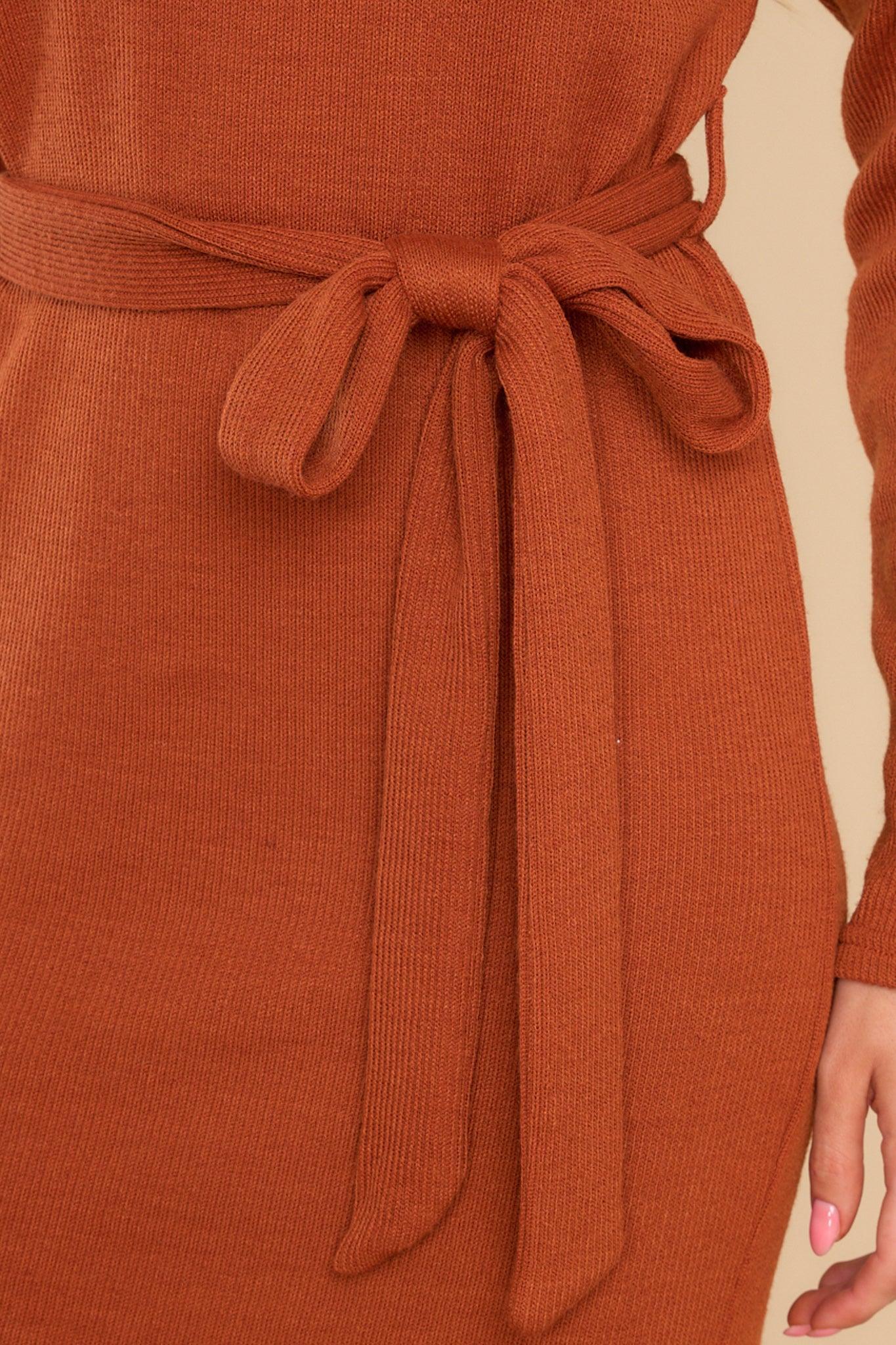 All Fall Long Rust Sweater Dress Red Product Image