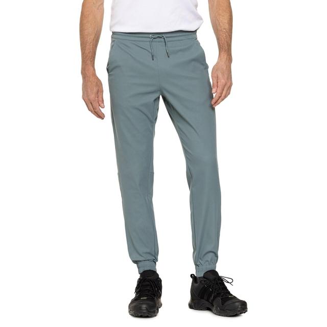 The North Face Standard Joggers Product Image