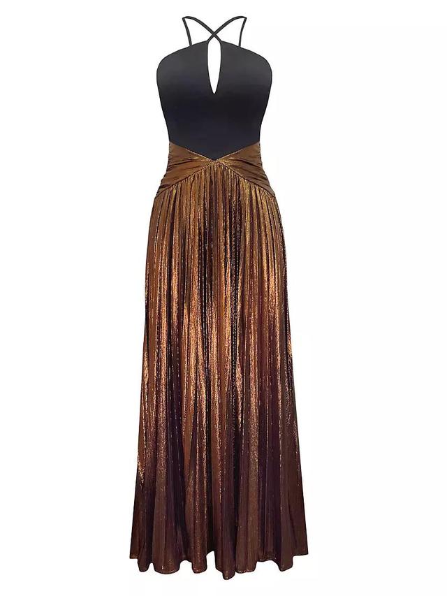 Tuuli Pleated Fit & Flare Maxi Dress Product Image