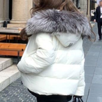 Fluffy Trim Hooded Zip-Up Puffer Jacket Product Image