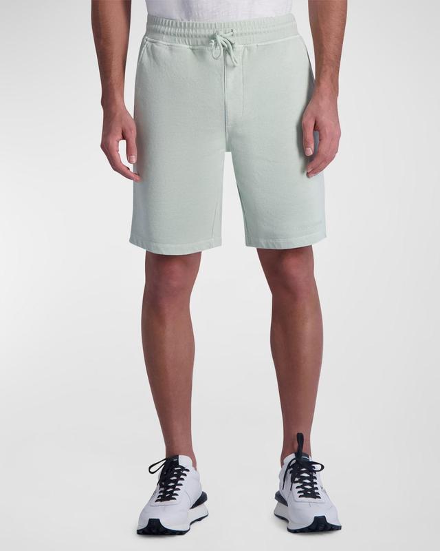 Mens French Terry Shorts Product Image