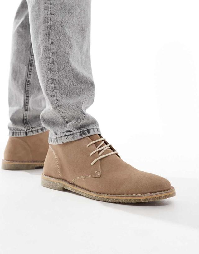 ASOS DESIGN lace-up desert boots in stone suede with natural sole Product Image