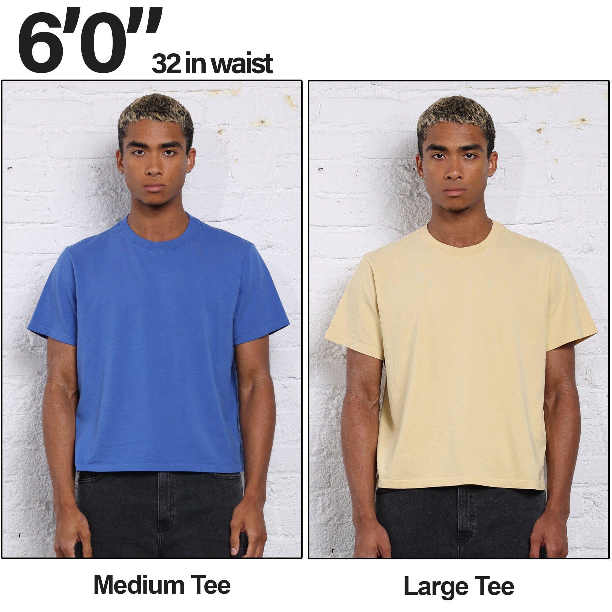 3-Pack | The Silverlake Crop Tee II Product Image