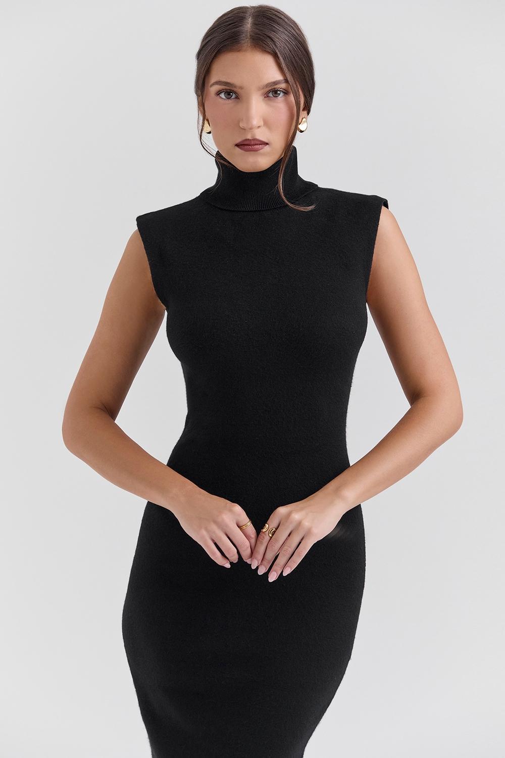 Gaia Black Cashmere Blend Turtle Neck Midi Dress Product Image