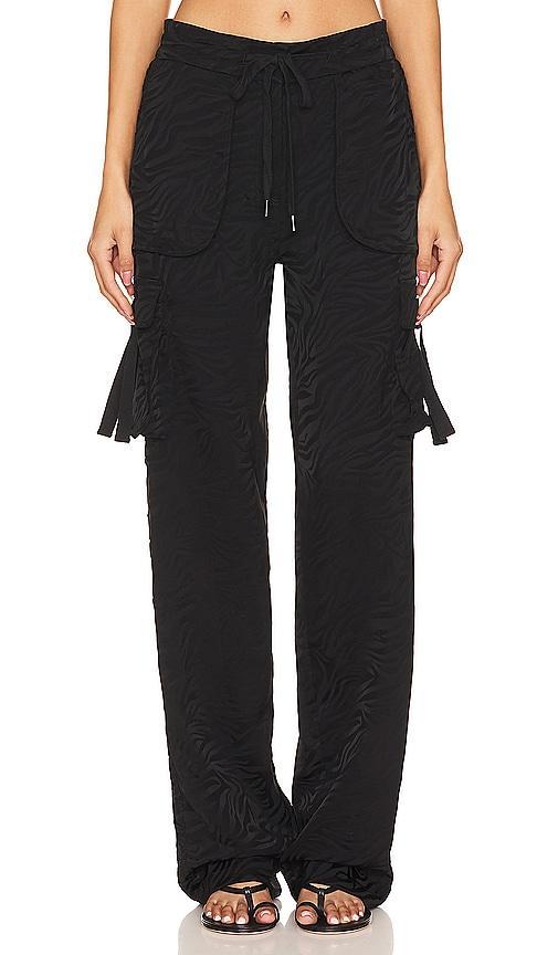 Santa Cruz Cargo Pant Product Image