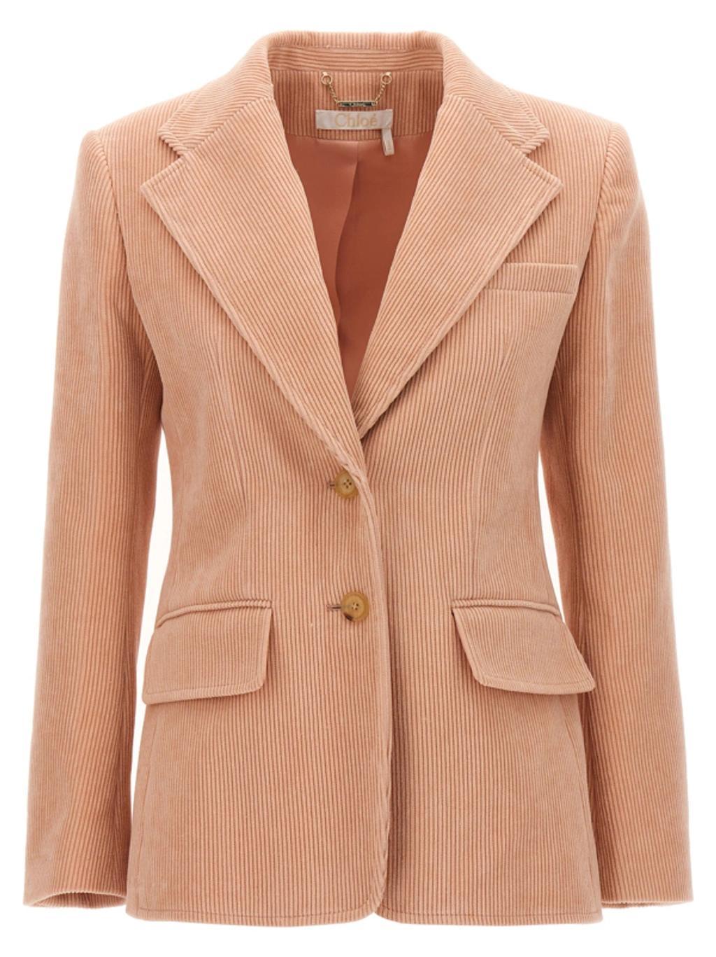 CHLOÉ Velvet Blazer In Nude & Neutrals Product Image