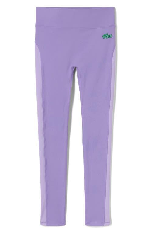 Womens Pull-On Leggings Product Image