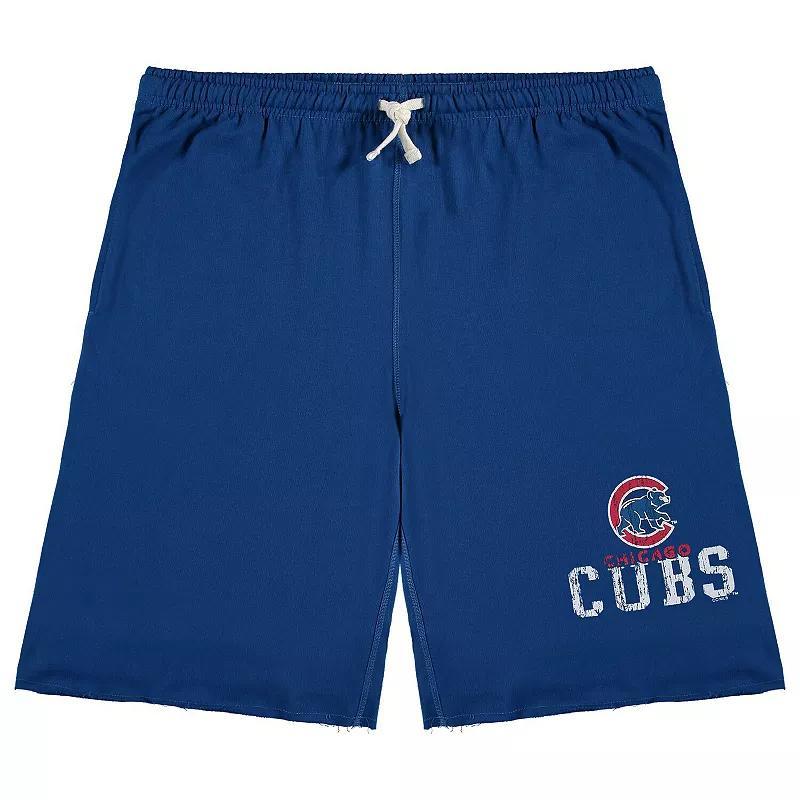 Mens Royal Chicago Cubs Big & Tall French Terry Shorts Product Image