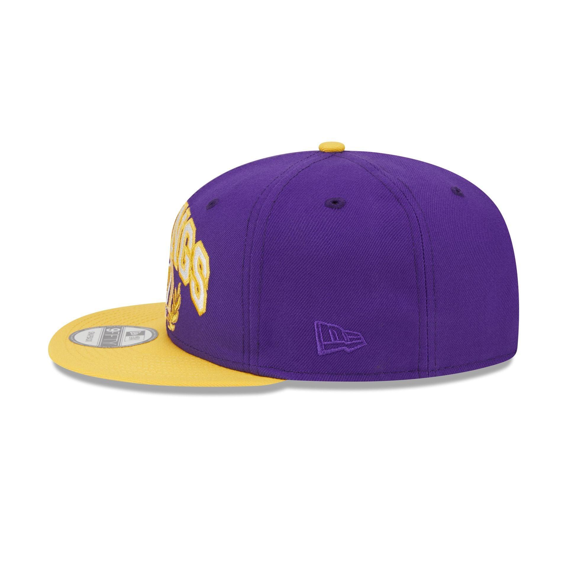 Minnesota Vikings Team Establish 9FIFTY Snapback Hat Male Product Image