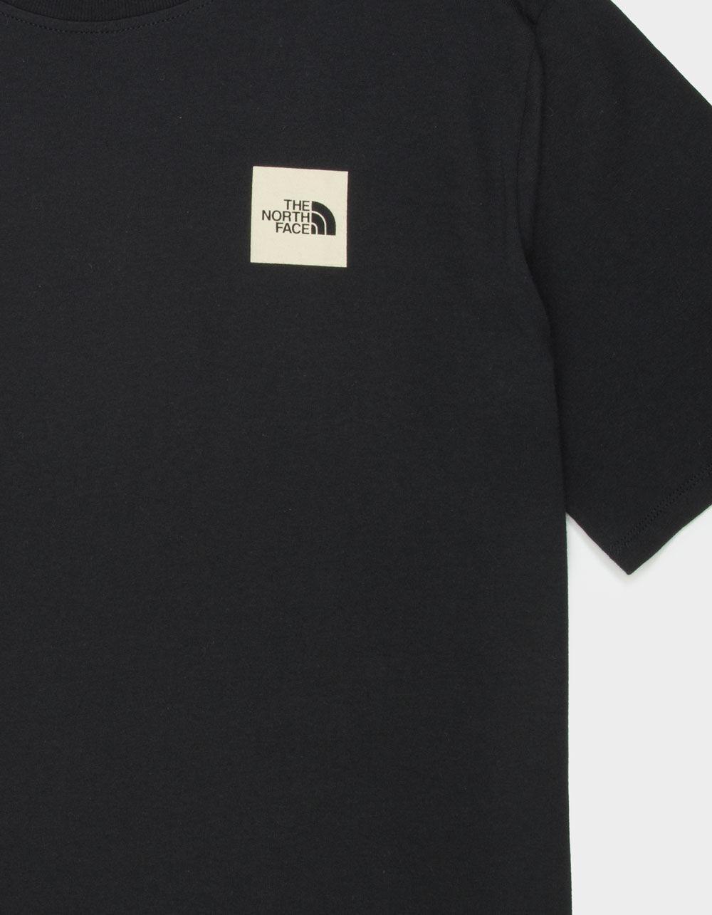 THE NORTH FACE Coordinates Mens Tee Product Image