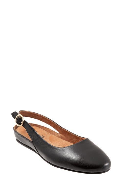 SoftWalk Sandy Slingback Flat Sandal Product Image