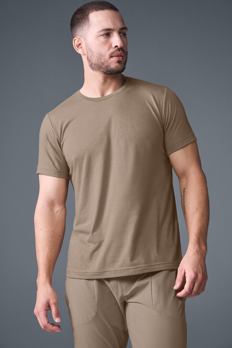 Triumph Tee - Gravel Male Product Image