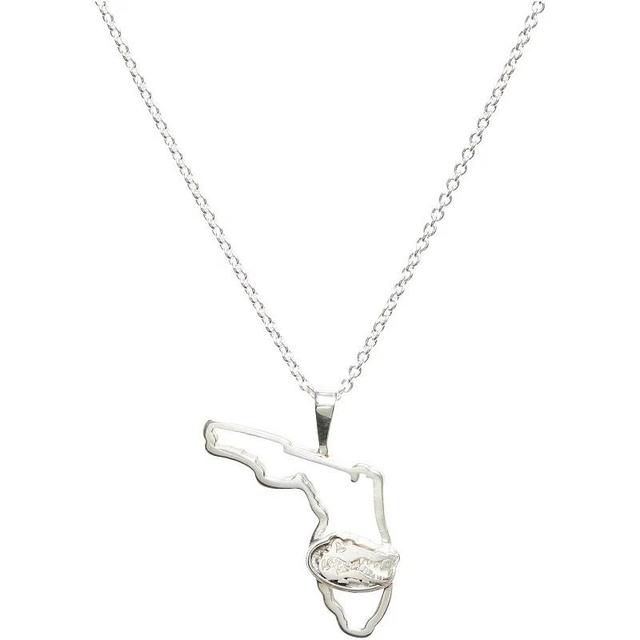 Womens Dayna Designs Silver Florida Gators Team State Outline Necklace Product Image