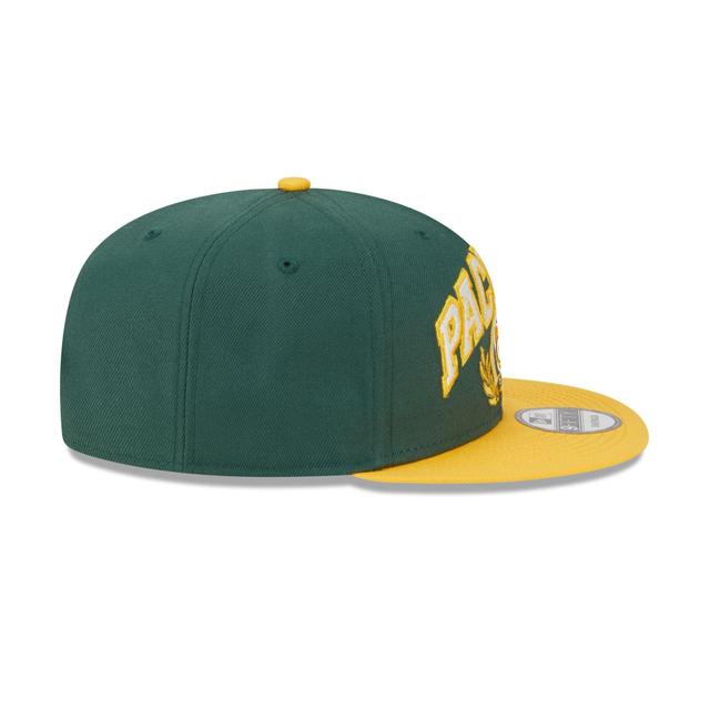 Minnesota Vikings Team Establish 9FIFTY Snapback Hat Male Product Image