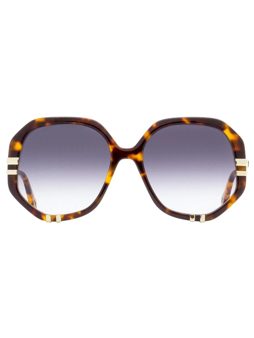 Women's Geometric Sunglasses Ch0105s 004 Havana/gold 58mm In Brown Product Image