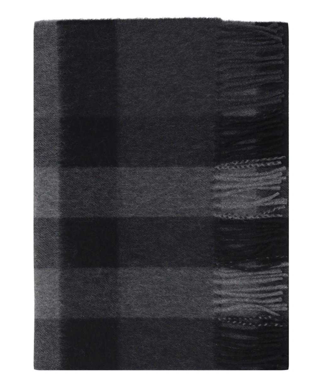 BURBERRY Scarf In Multicolor Product Image