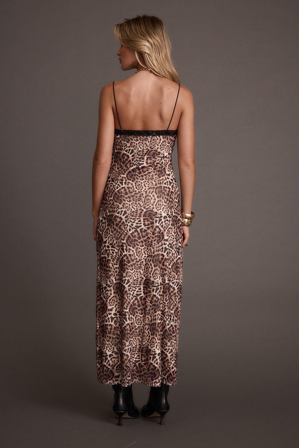 Kravitz Leopard Print Maxi Dress Product Image