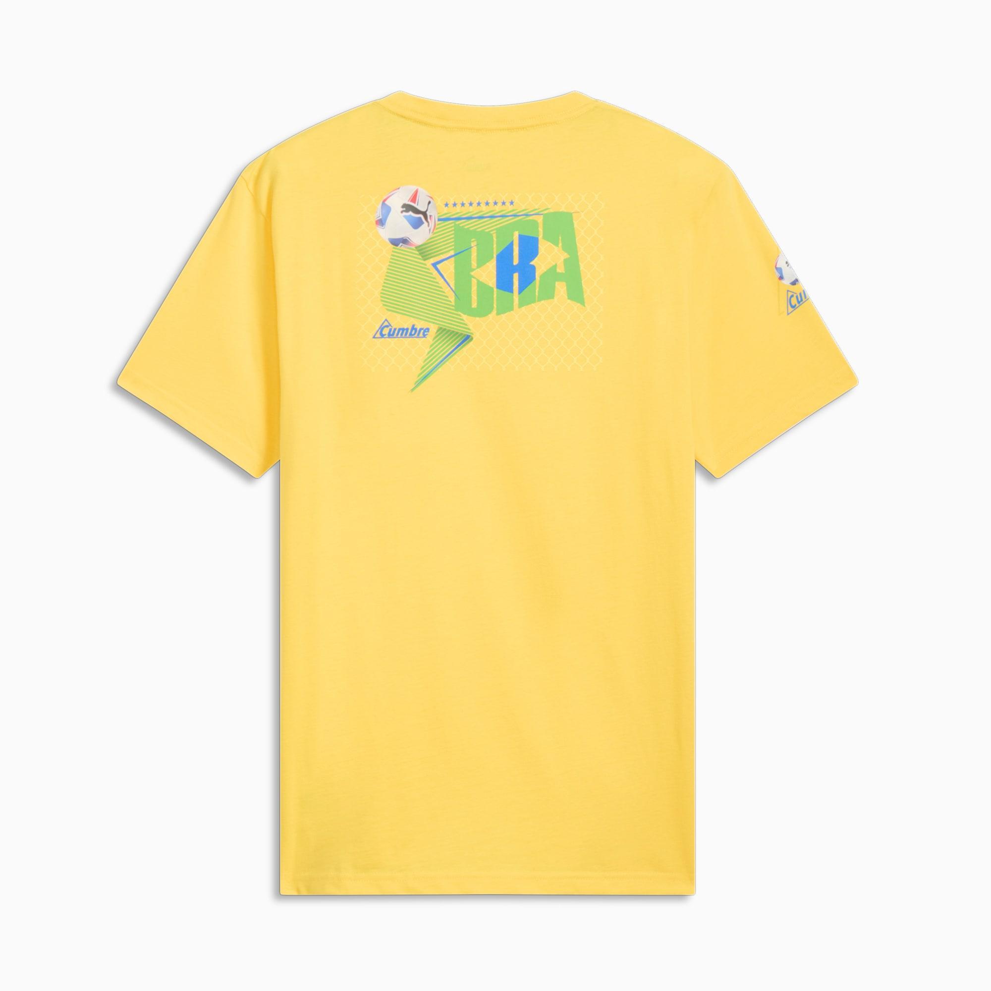 PUMA CONMEBOL Copa América 2024 Brazil Men's Tee Product Image