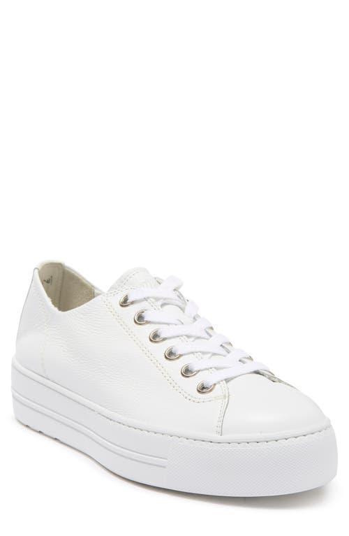 Paul Green Bixby Sneaker Leather) Women's Shoes Product Image