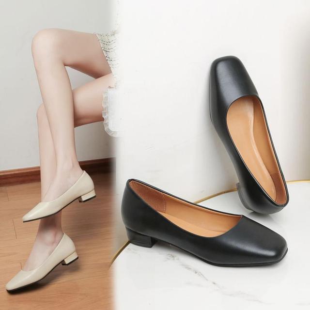 Low Heel Pointed Pumps Product Image